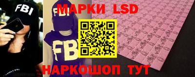 прущие грибы Будённовск