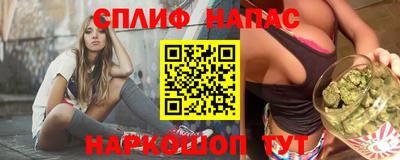 прущие грибы Будённовск