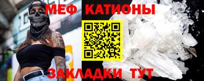 прущие грибы Будённовск