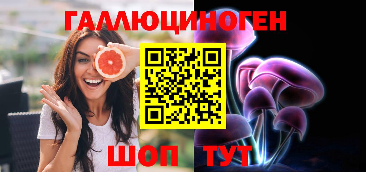 Псилоцибиновые грибы Psilocybine cubensis  Вход с VPN  Смоленск 